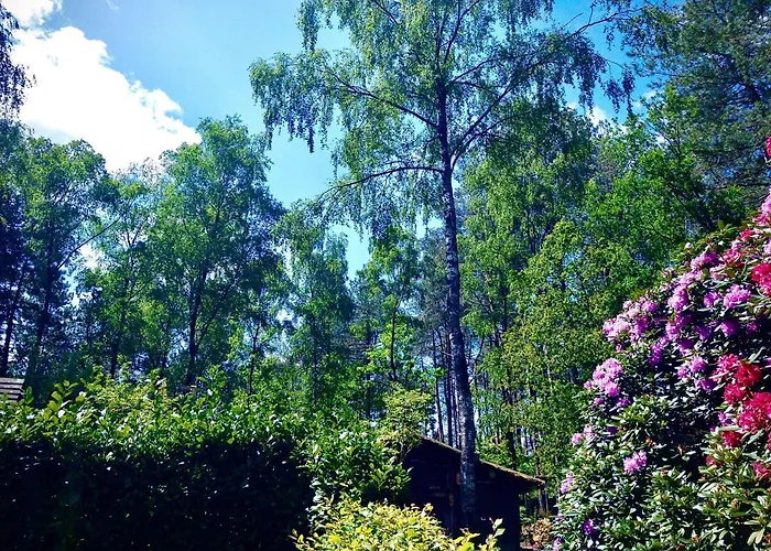 De Drie Beuken